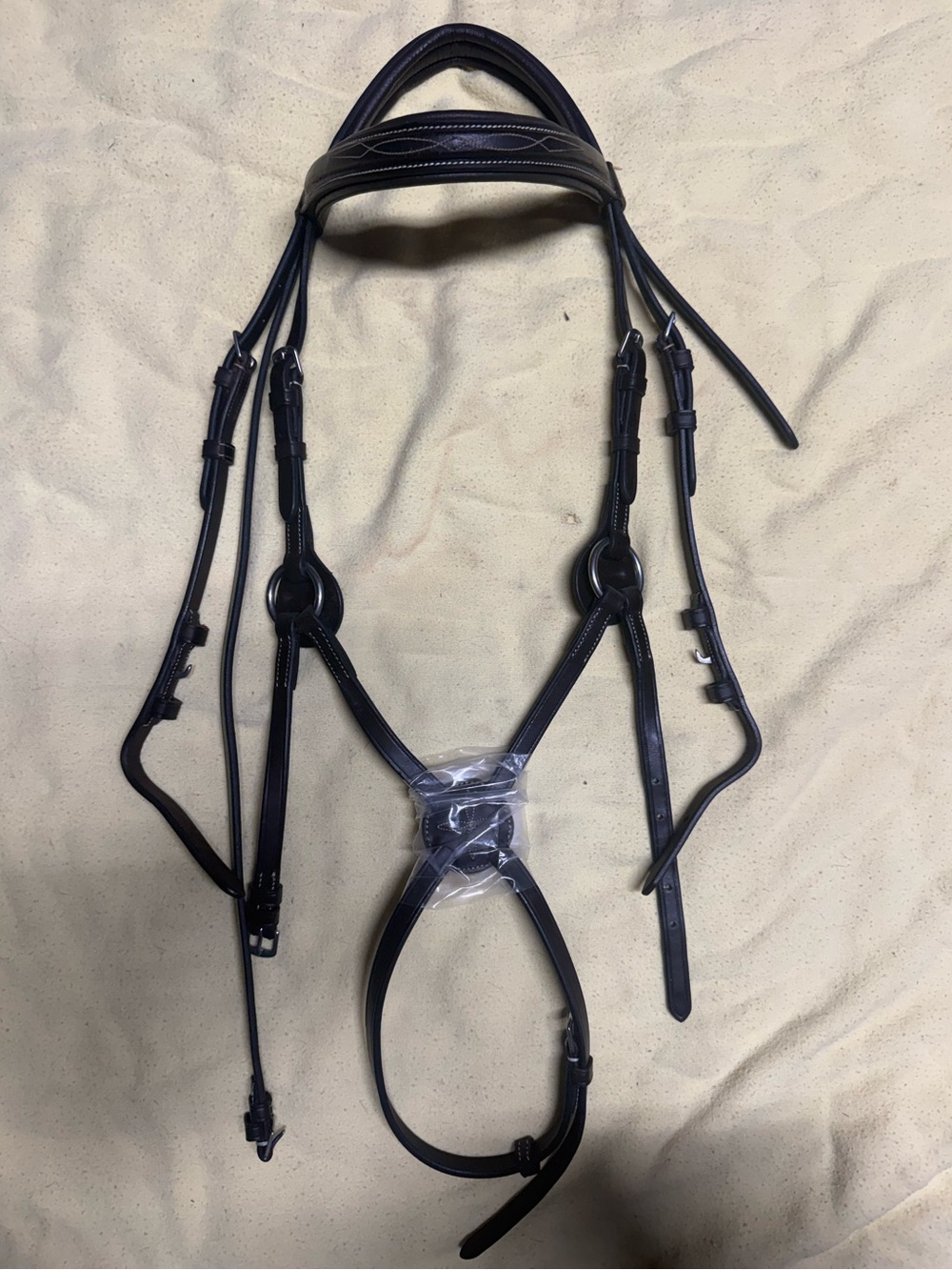 Dover pony sized figure 8